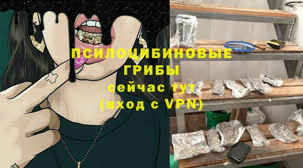 прущие крисы Алексеевка