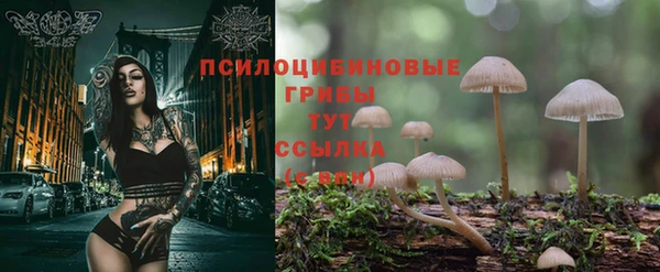 jwh Алзамай