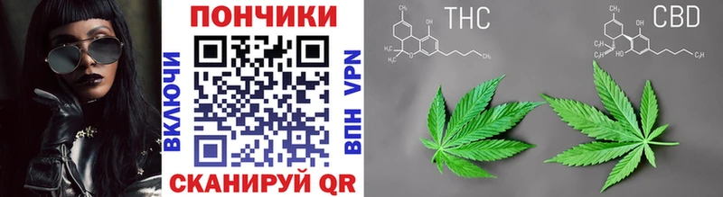 Шишки марихуана THC 21%  Купить где  Тара 